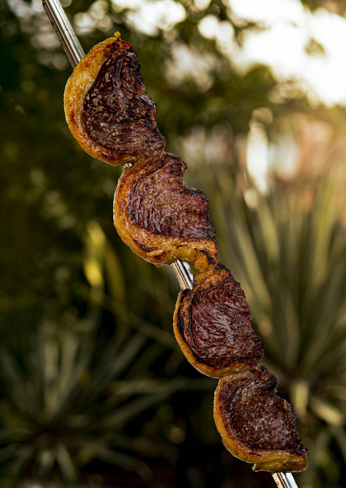 Punta de Anca a la Parrilla: La Guía para Hacer la Picanha Perfecta