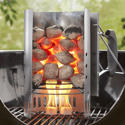 Weber cubos encendedores parrilla carbon — La Carnicerie